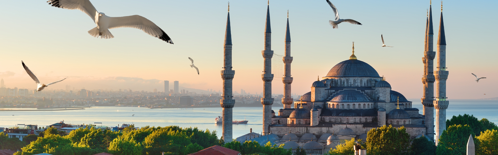 We are also in  <br> Istanbul, Turkey